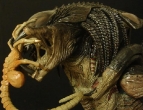spawn_AVPRPredalien029.jpg